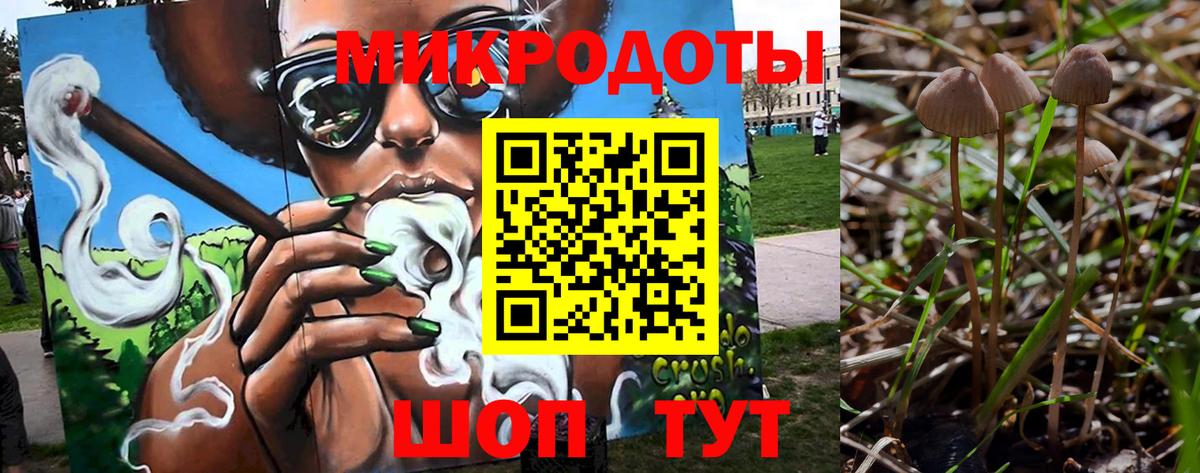 Галлюциногенные грибы MAGIC MUSHROOMS  Галлюциногенные грибы MAGIC MUSHROOMS  Ставрополь  Вход с VPN 