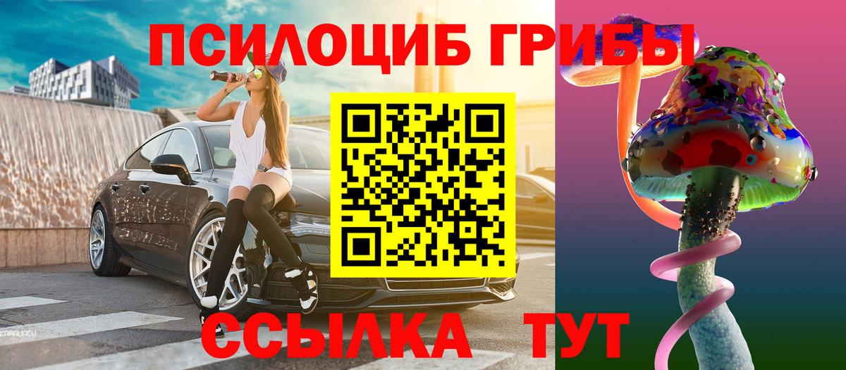 Псилоцибиновые грибы Psilocybine cubensis Ставрополь